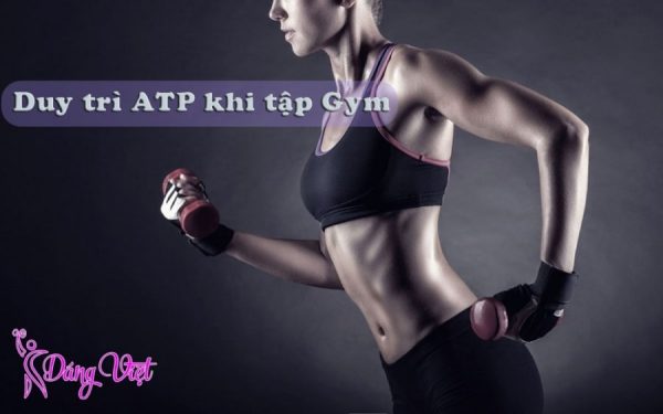 Duy trì ATP khi tập Gym - Nguồn năng lượng tốt cho cơ bắp