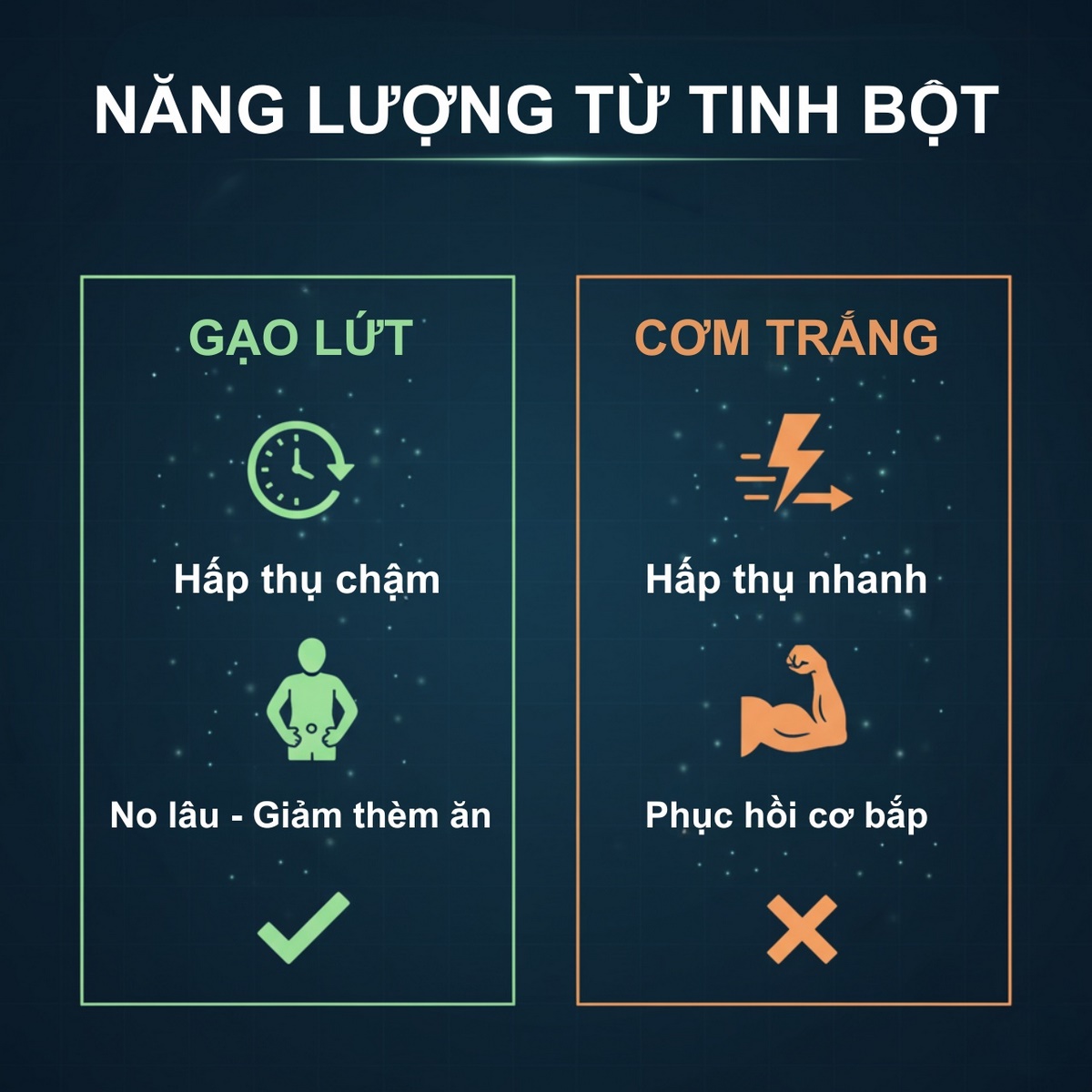 So sánh gạo lứt và gạo trắng cho người tập thể hình