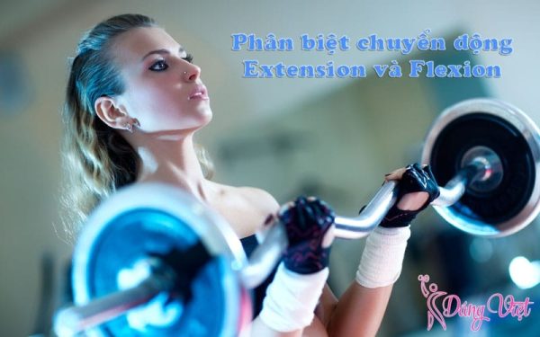 Phân biệt chuyển động Extension và Flexion trong tập thể hình