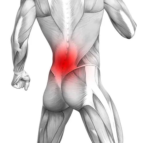 Lower back