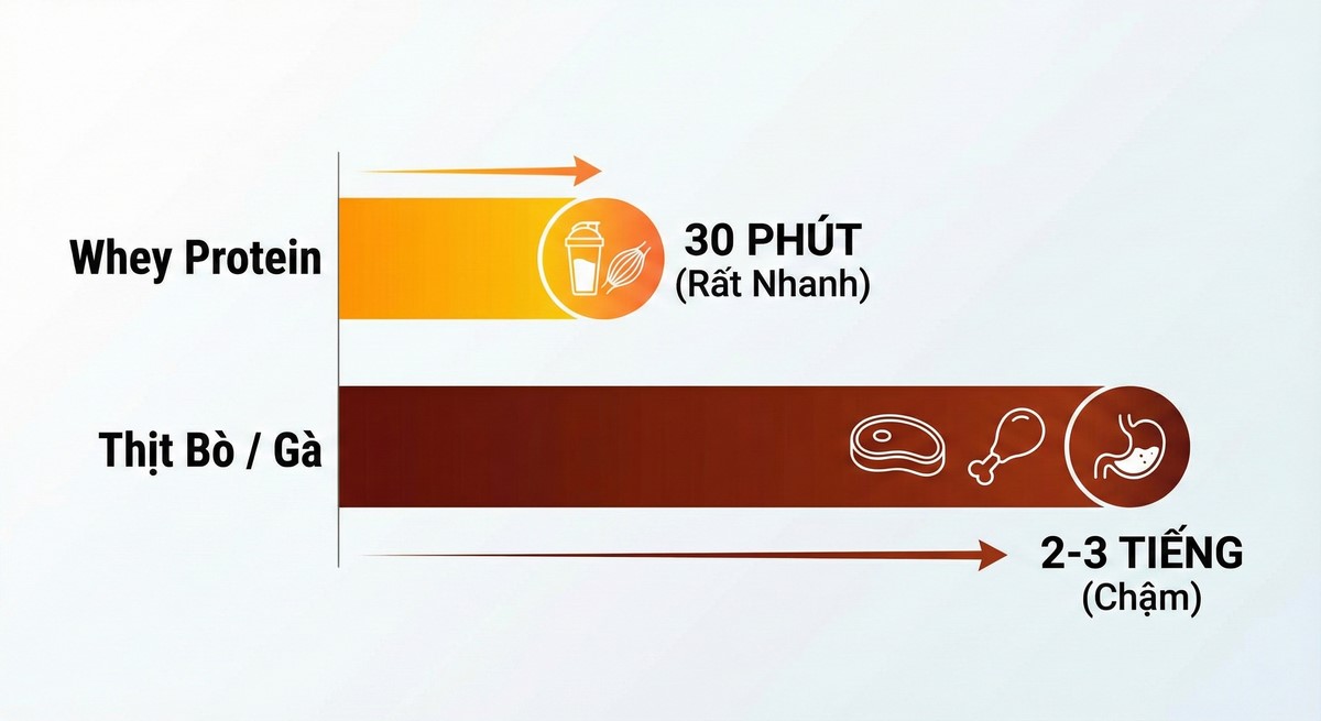 So sánh thực phẩm bổ sung và thức ăn tự nhiên.
