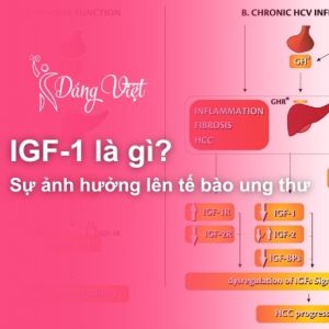 IGF-1-LA-GI