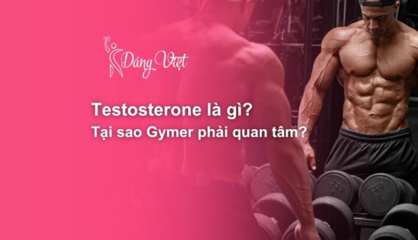 Testosterone-la-gi