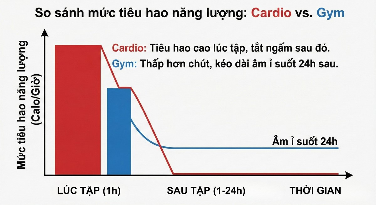 Hiệu ứng Afterburn EPOC trong tập gym.