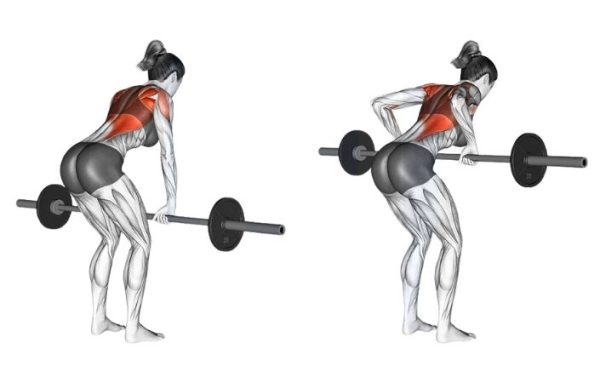 Barbell Bent-Over Row