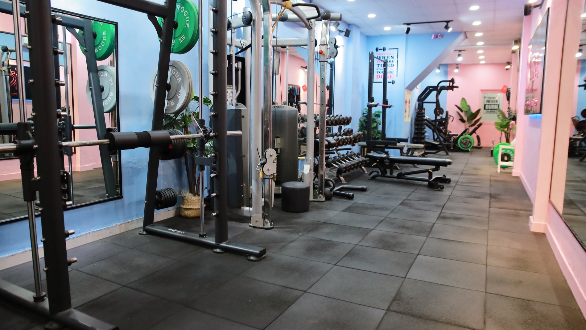 private gym dáng việt mô hình phòng tập riêng tư